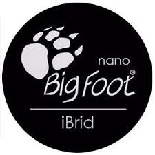 Rupes BigFoot Nano iBrid